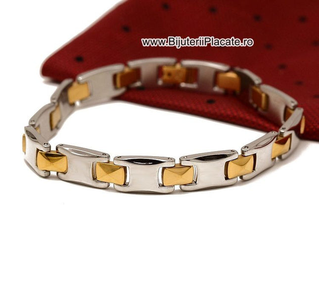 Bratara Inox In Doua Culori Moderna