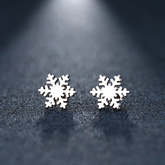 Cercei Din Inox Argintiu Fulg Nea