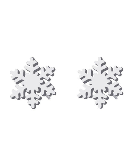 Cercei Din Inox Argintiu Fulg Nea